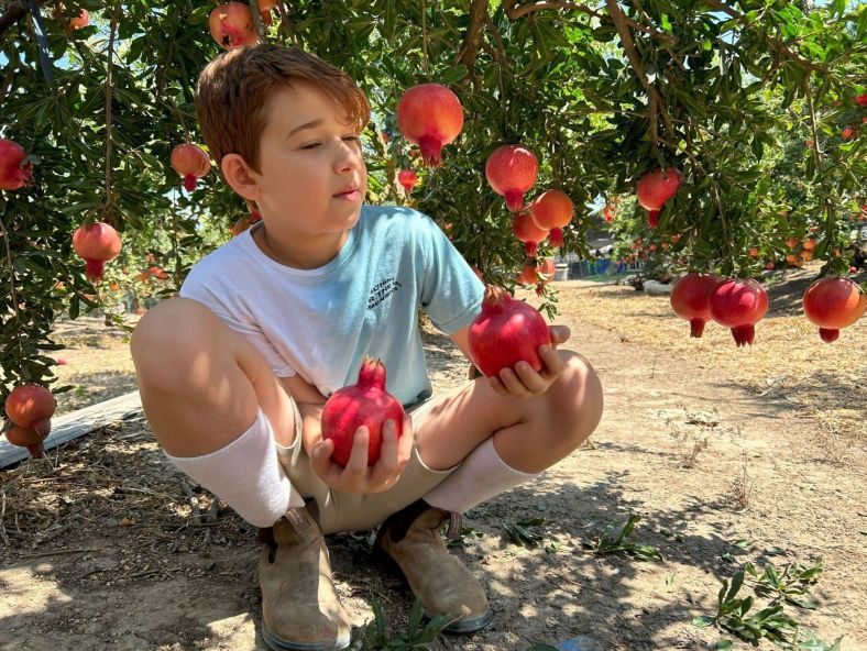 שנת טבע טובה: המלצות לטיולים ופעילויות לראש השנה